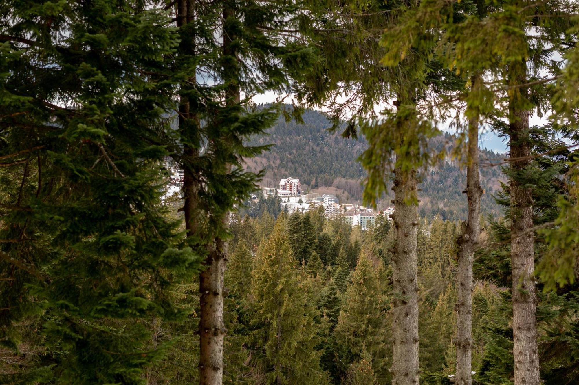 Eden Grand Resort Predeal Esterno foto